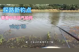 野钓新乡新钓点，环境不错，等着上鱼吧！