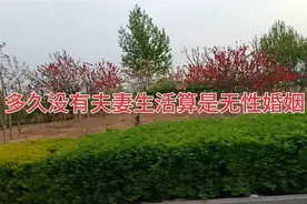 多久没有夫妻生活算是无性婚姻视频封面