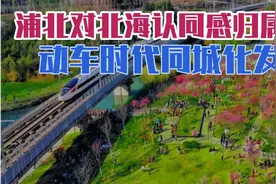 浦北对北海认同感与归属感，促进钦北防同城化，5年进入动车时代视频封面