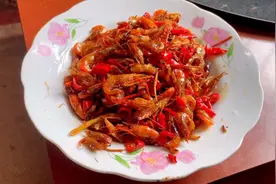 结石不痛了，去水库弄了点野生虾米回来补补😂视频封面