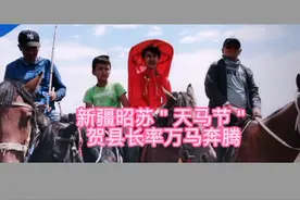 昭苏贺县长率马奔驰视频封面