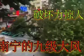 昨天南宁突发9级大风破坏力超强，从朋友圈感受9级大风的威力!视频封面