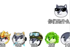 不同G区别（已通过作者同意搬运）视频封面