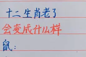 十二生肖老了，会变成什么样呢。视频封面