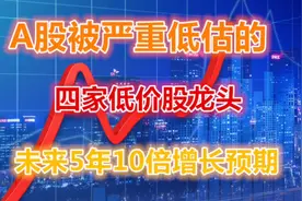 A股：未来5年，最有望翻10倍的4家低价优质企业，分享给有缘人！视频封面