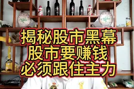 炒股哥揭秘股市黑幕视频封面