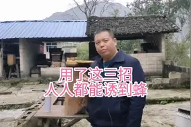 用了这三招，人人都能诱到蜂视频封面