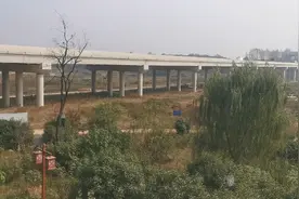 河里开荒种菜。又开始推了。推完后荒着也不会让你种。说是污染视频封面