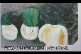 宋美龄简介视频封面