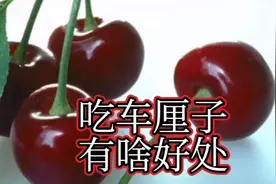 车厘子到底有啥好处，卖水果二十多年的徐姐给您介绍一下视频封面