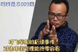 叶飞举报的后续事件，嘉美包装坐庄案23人被抓
