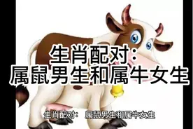 生肖配对：属鼠男生和属牛女生视频封面