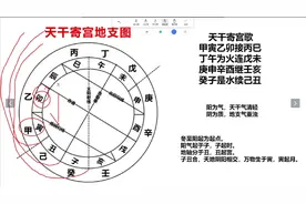 阳为气，天干气清轻，阴为质，地支气重浊视频封面