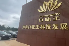 实拍海南口味王槟榔城基地视频封面
