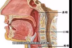 如何搭好共鸣腔体 练出漂亮音色视频封面