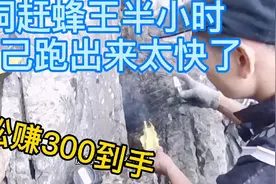 小伙在野外是怎样把蜂王在石洞中驱赶出来的，半小时自己跑出来视频封面