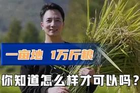 林生斌用一亩地种出一万斤粮视频封面
