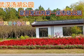 武汉汤湖公园，是开发区内第一座市级公园，自然风光十分优美！视频封面