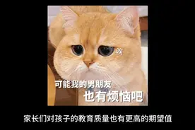 为什么现在的家长动不动就喜欢举报老师？视频封面