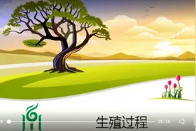 【七年级生物下】生殖过程视频封面
