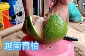 在中国种出的越南青柚口感怎么样？柚子妹开果实拍，口感与众不同视频封面