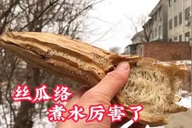 丝瓜络别刷碗？丝瓜络煮水作用更厉害，很多人不知它的好处！视频封面