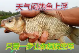 天气闷热鱼上浮如何垂钓？用这个方法让你连竿，今天又是狂拉鲫鱼视频封面