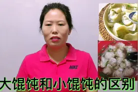 大馄饨和小馄饨有什么区别？听完店主分享3点，以后就知道了！视频封面