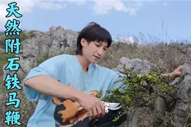 发现一棵天然附石铁马鞭盆景素材！这要是拿出来绝对精品视频封面
