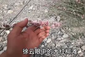 徐云、张大飞、小广眼中的大红柳滩视频封面