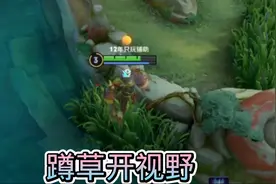 王者荣耀：辅助开视野就是通过蹲草让未知区域变的安全起来视频封面