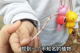 小时候长大的地方，长大了我们依然常在，真幸运视频封面