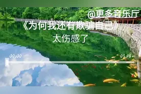 伤感情歌《为何我还再欺骗自己》节奏好听动感，旋律优美动听视频封面