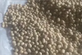 黄豆的功效非常好。视频封面
