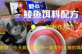 钓鲮鱼的饵料配方，在家里面就可以做出一款，狂拉鲮鱼的饵料。