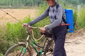 云梦清明河曹姓和应城三合操姓是一家人吗？（刘俊明）视频封面