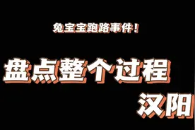 盘点汉阳兔宝宝跑路事件整个经过！#汉阳 #兔宝宝 #跑路视频封面