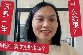 养蜗牛真的能赚钱吗？邻居好奇试养一年，看看现在什么情况？视频封面