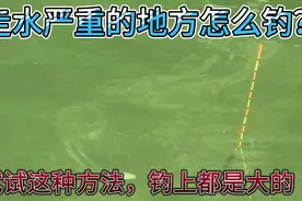 水流太急定不住漂怎么办？试试这种钓法吧，上钩的都是大货！视频封面