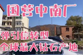 南阳山沟里大型兵工厂，由造炮弹引信转型成全球最大钻石产地！牛视频封面