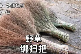 农村遍地的野草用来绑扫把，绑了三把够用一年了，省了几十块钱视频封面