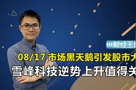 市场黑天鹅引发股市大跌，雪峰科技逆势上升值得关注。视频封面