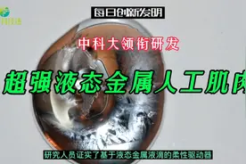 合肥中科大领衔研发！超强液态金属人工肌肉诞生视频封面