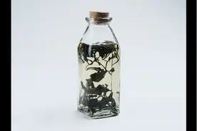 夏天绿茶就要这样喝，教你泡冷泡绿茶，好喝又去火视频封面