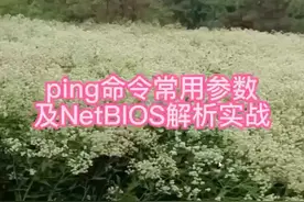ping命令常用参数及netbios解析实战视频封面