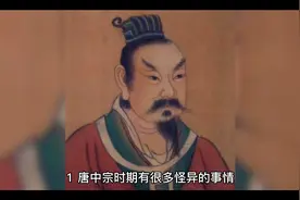 古代那些奇闻趣事  10则视频封面