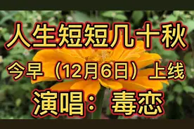 《人生短短几十秋》人生路上有一道道坎坷，也许有太多苦别无选择视频封面