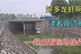 河南小伙发现一个逮龙虾好地方，大清早起来去逮虾，看看收获如何视频封面