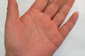 手相学/阴德纹#美赞臣蓝臻顶配保护视频封面