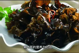 “补血之王”黑木耳的营养与功效视频封面